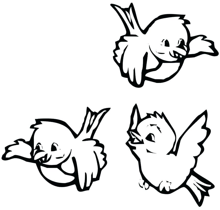 863x823 Coloring Page Of A Bird Blue Jay Colouring Page Bird Coloring