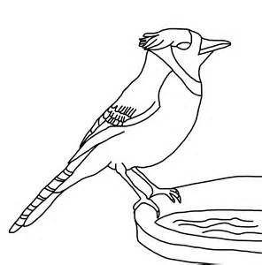 296x300 Simple Blue Jay Coloring Page Coloring Pages Over The Rainbow