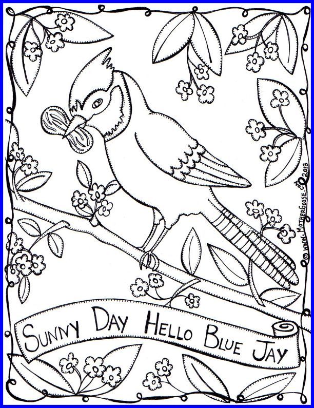 612x795 Best Edge Blue Jay Coloring Page Mother Goose Sunny Day Of Color
