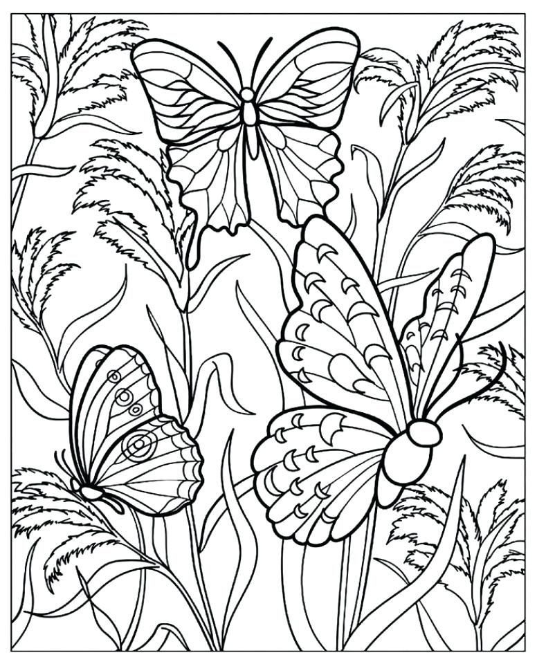 776x960 Coloring Page Of A Butterfly Free Printable Butterfly Coloring