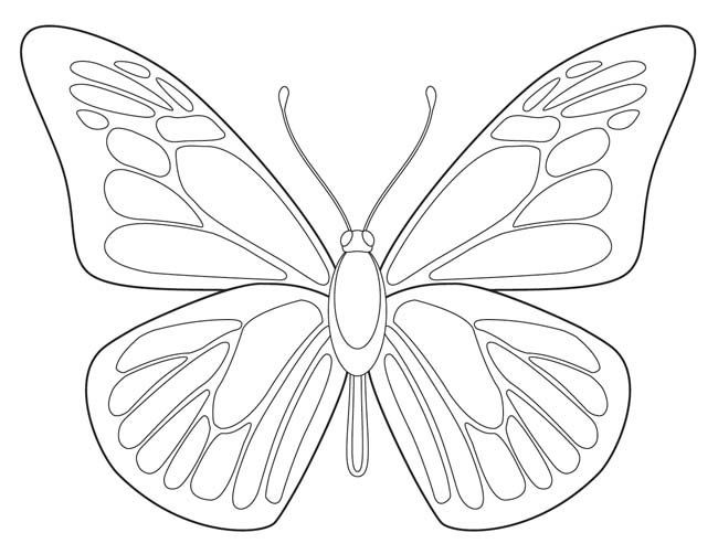 Blue Morpho Butterfly Coloring Page at GetColorings.com | Free ...