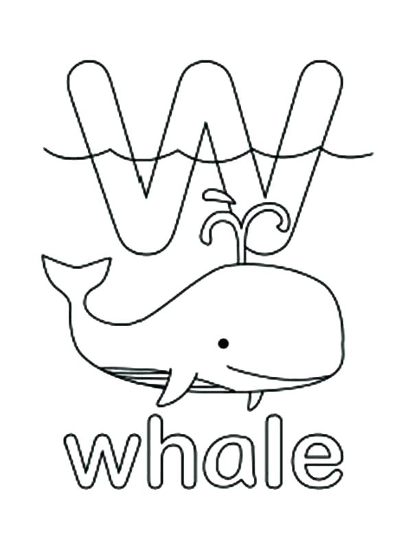 Coloring Pages Of Whales Whale Coloring Page Blue Whale Coloring 600x807 Coloring Pages Of Whales Whale Coloring Page Blue Whale Coloring
