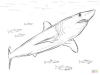 Mako Shark Coloring Page Beautiful Blue Shark Coloring Page Free 200x150 Mako Shark Coloring Page Beautiful Blue Shark Coloring Page Free