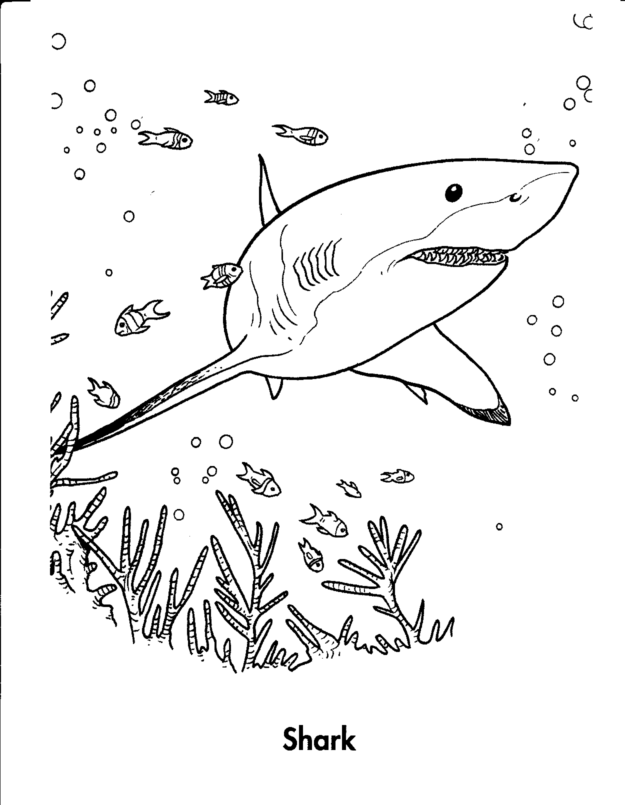 Shark Coloring Pages 1250x1610 Shark Coloring Pages