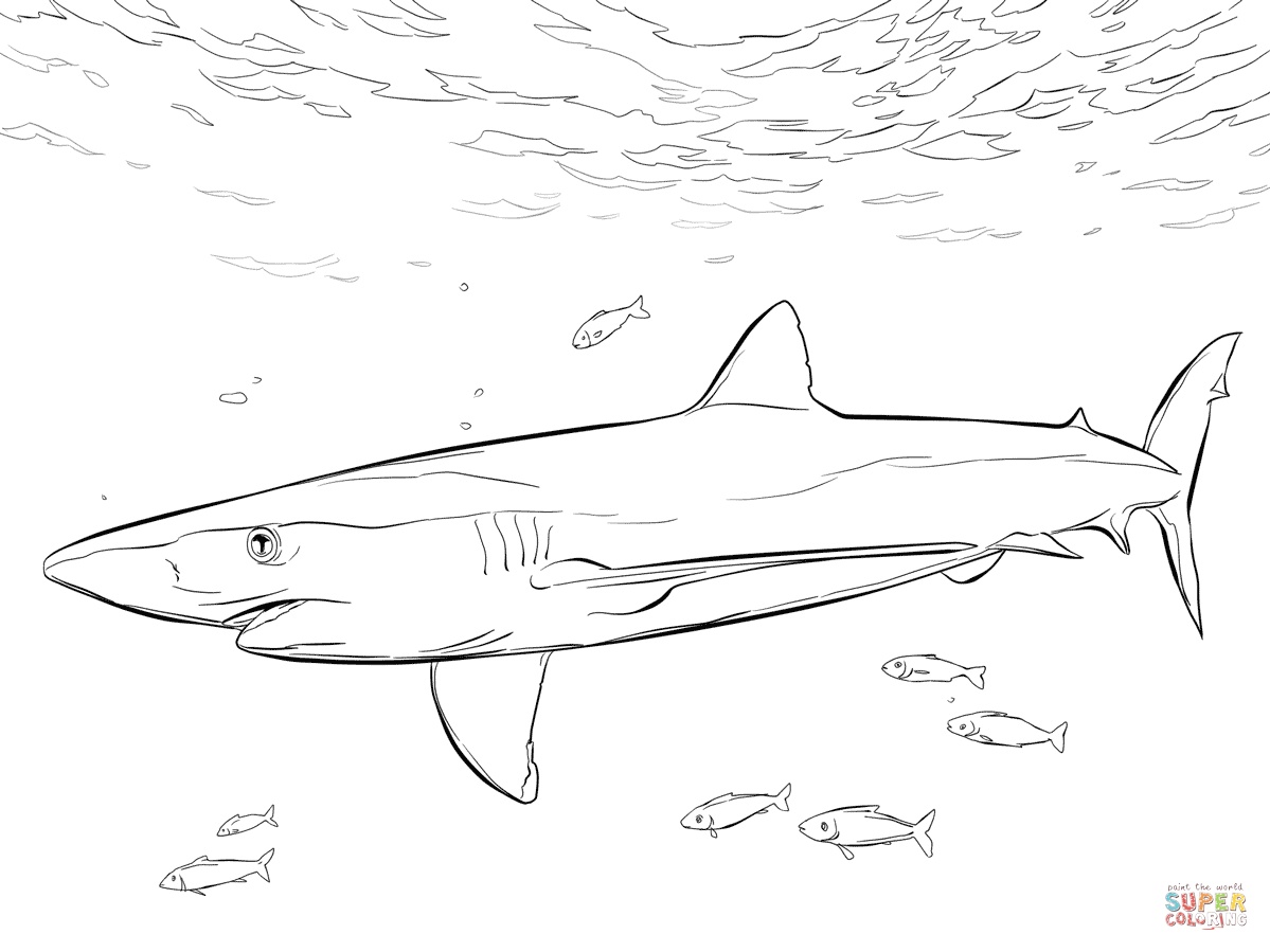 Blue Shark Coloring Pages at GetColorings.com | Free printable ...