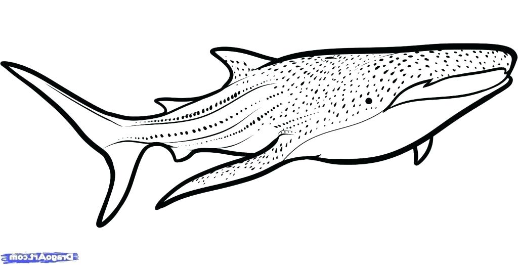 Whale 5 Coloring Page Free Whale Coloring Pages Whale 5 Coloring 1024x524 Whale 5 Coloring Page Free Whale Coloring Pages Whale 5 Coloring