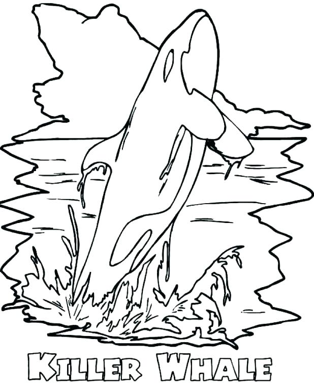 Whale Coloring Page Coloring Page Whale Coloring Page Amazing 618x768 Whale Coloring Page Coloring Page Whale Coloring Page Amazing