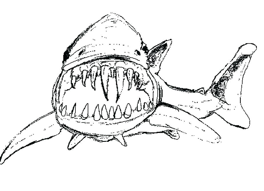 Whale Shark Coloring Page 924x668 Whale Shark Coloring Page