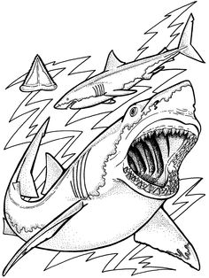 Blue Shark With Pilot Fishes Coloring Page From Blue Sharks 236x314 Blue Shark With Pilot Fishes Coloring Page From Blue Sharks