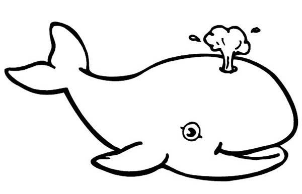 600x386 Fine Blue Whale Coloring Pages According Efficient Article