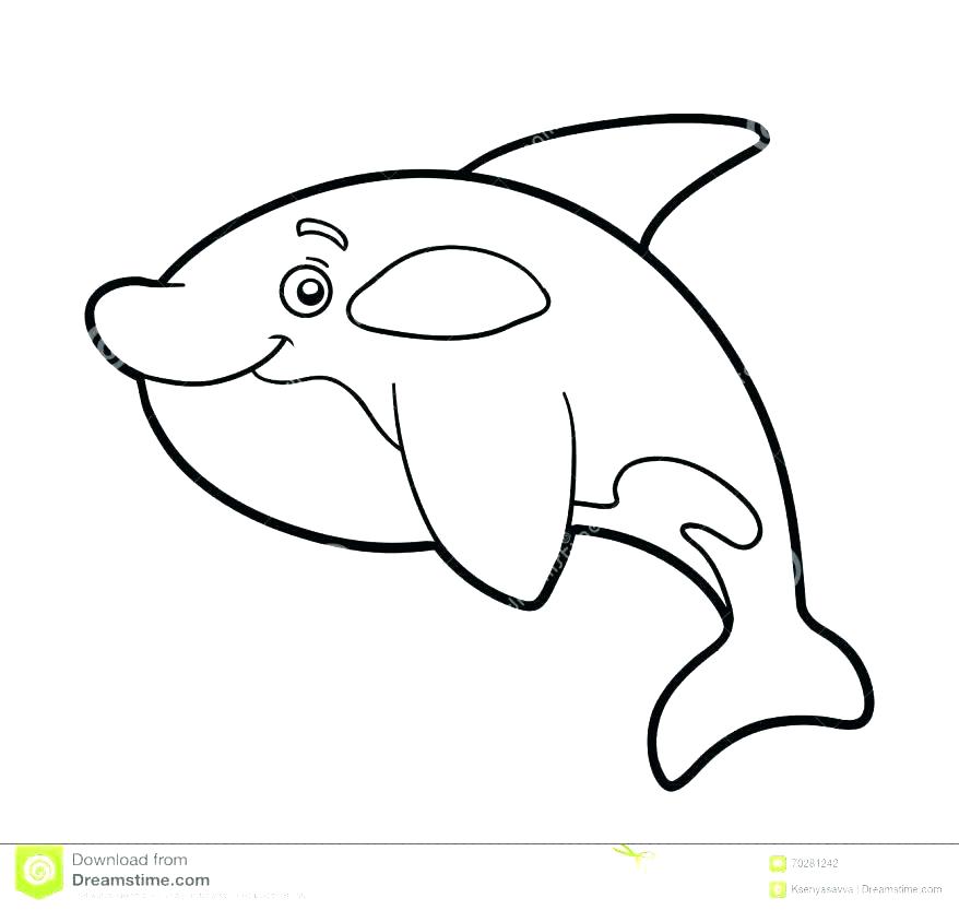 878x833 Free Printable Blue Whale Coloring Pages For Kids Fuhrer Von
