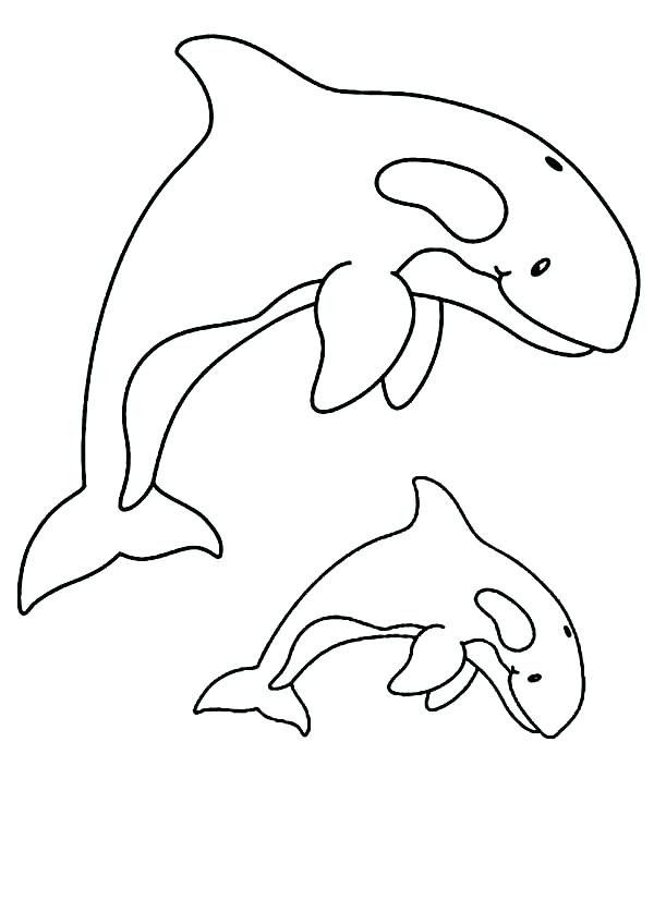 600x826 Whale Coloring Page Blue Whale Coloring Page Whale Coloring Pages