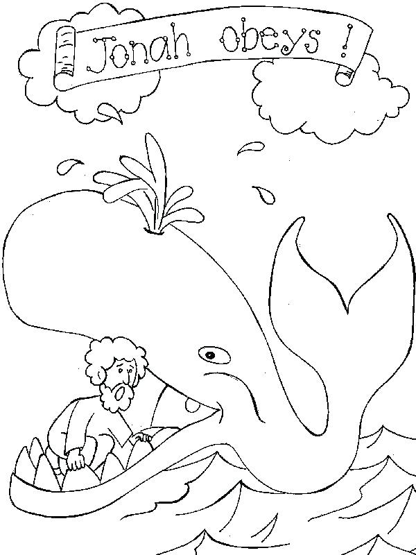 600x800 Big Blue Whale Coloring Page Whales Pages Free