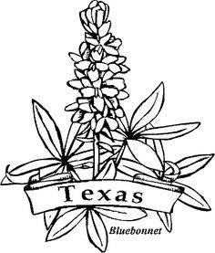 236x277 Best Bluebonnet Flower Coloring Page