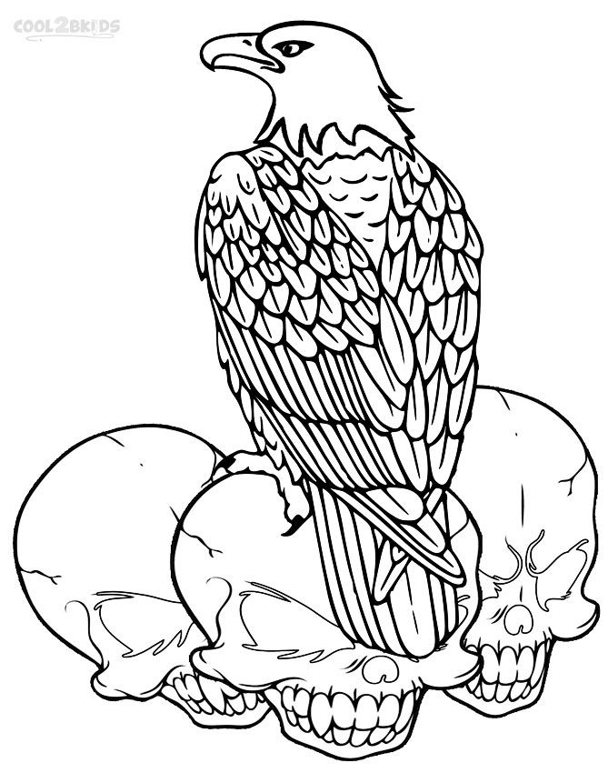 Printable Bald Eagle Coloring Pages For Kids Cool2bkids 669x850 Printable Bald Eagle Coloring Pages For Kids Cool2bkids