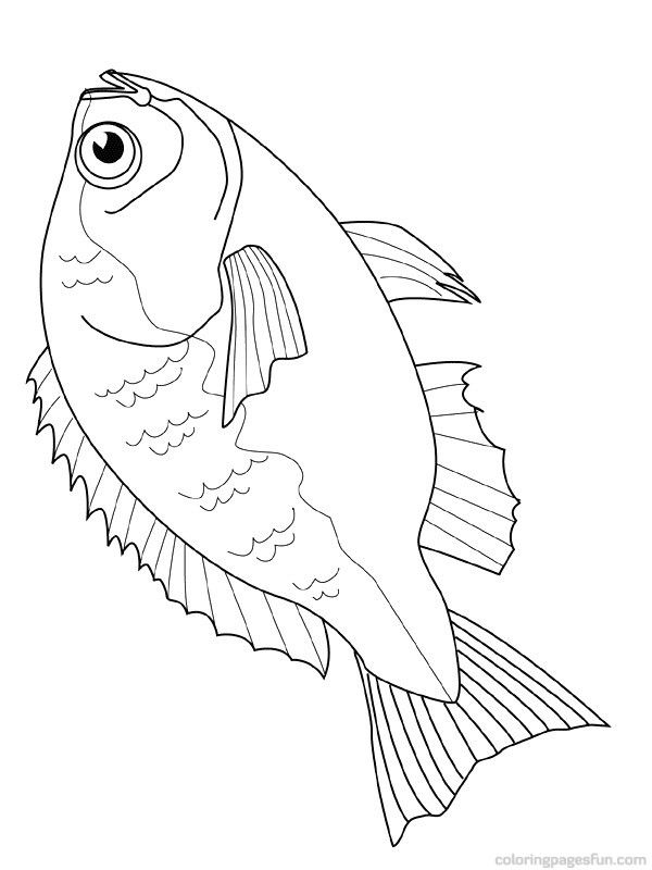 Free Downloadable Jumbo Fish Coloring Pages Fish Coloring Pages 600x800 Free Downloadable Jumbo Fish Coloring Pages Fish Coloring Pages