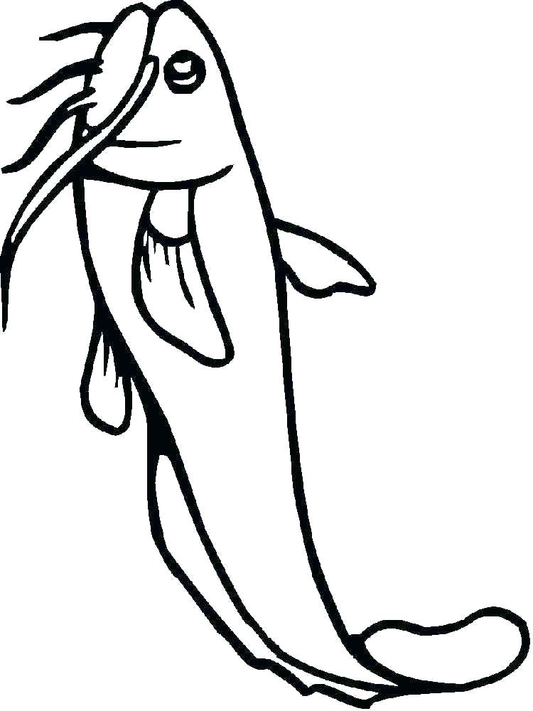 Catfish Coloring Page Catfish Coloring Page Coloring Page Cat Cat 750x1000 Catfish Coloring Page Catfish Coloring Page Coloring Page Cat Cat