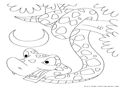 476x333 Boa Constrictor Coloring Page Boa Constrictor Colouring Page