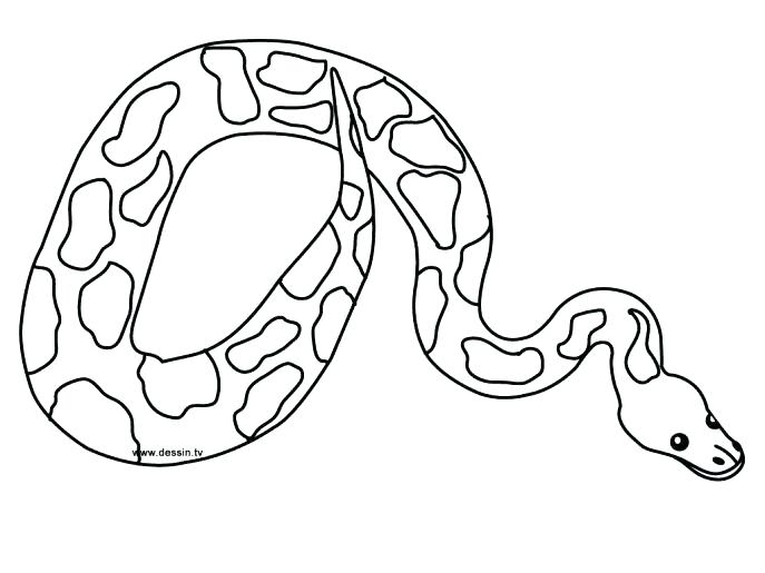 687x515 Cobra Snake Coloring Page Printable Coloring Boa Constrictor