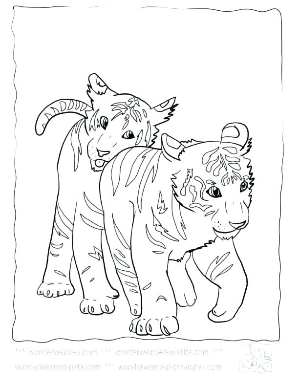Bobcat Coloring Pictures Auburn Coloring Pages Tiger Coloring 612x792 Bobcat Coloring Pictures Auburn Coloring Pages Tiger Coloring