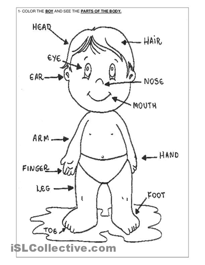 Related Body Parts Coloring Pages For Preschool Slp 400x517 Related Body Parts Coloring Pages For Preschool Slp