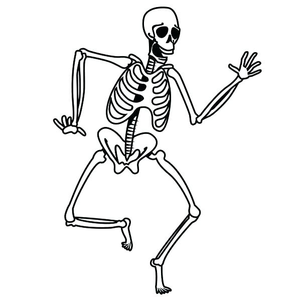 Human Body Coloring Page 600x600 Human Body Coloring Page