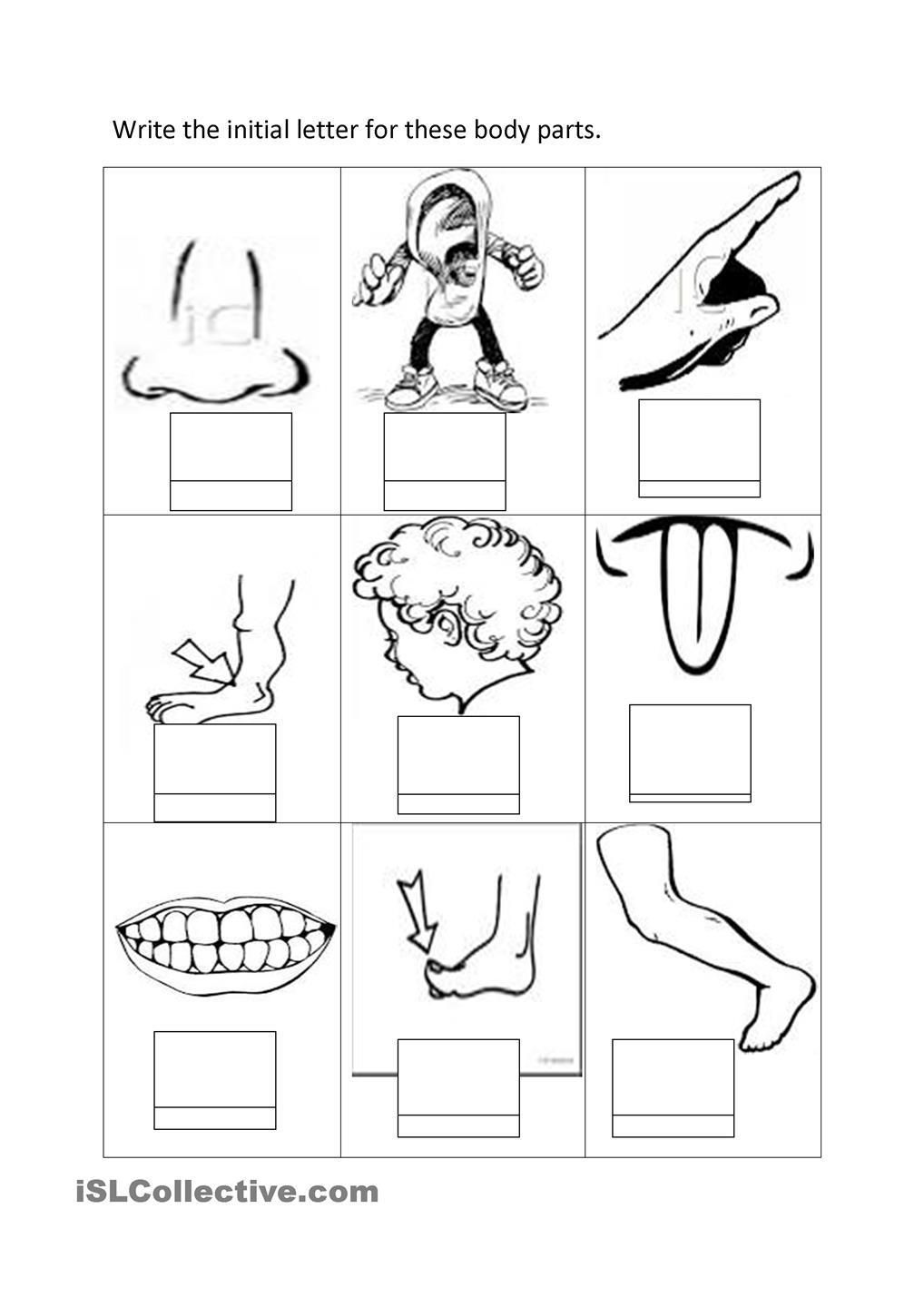 Instructive Parts Of The Body Coloring Pages For Preschool Sheets 1018x1440 Instructive Parts Of The Body Coloring Pages For Preschool Sheets