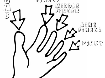 440x330 Body Parts Pictures For Kindergarten Kids Coloring, Body Parts