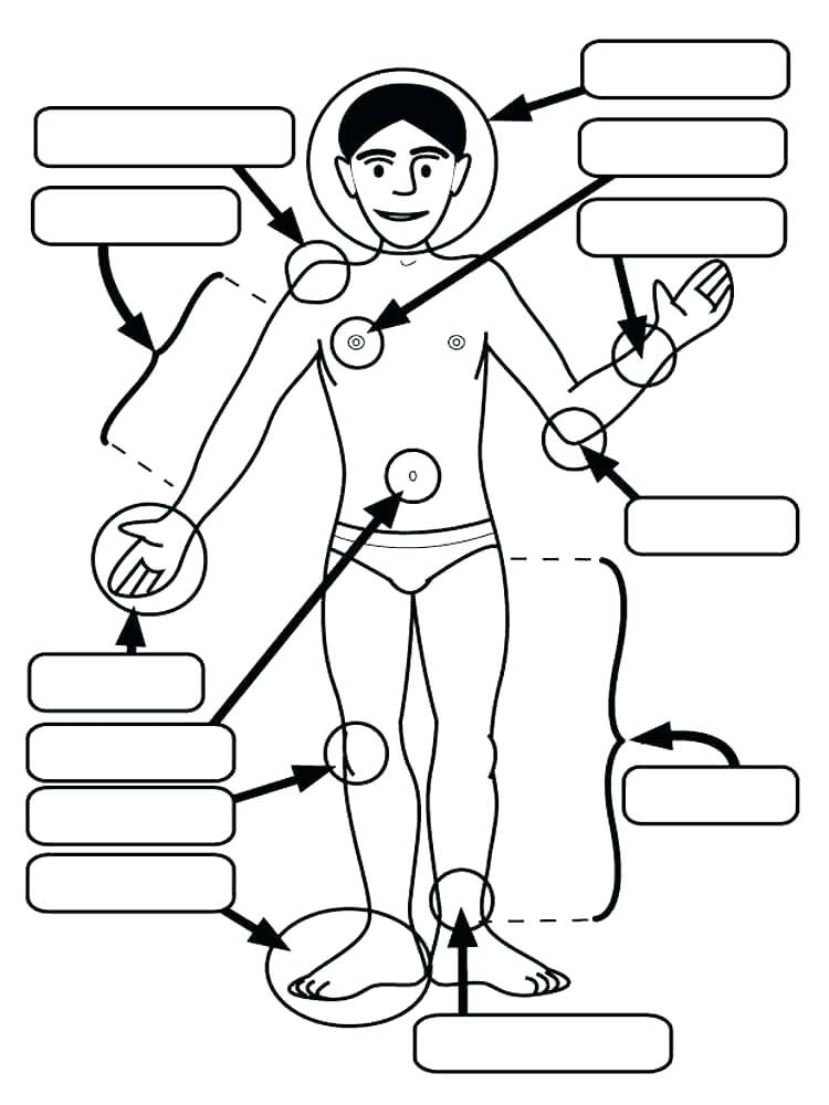 Body Parts Coloring Pages For Preschool - Body Parts Coloring Pages For Preschool 39 