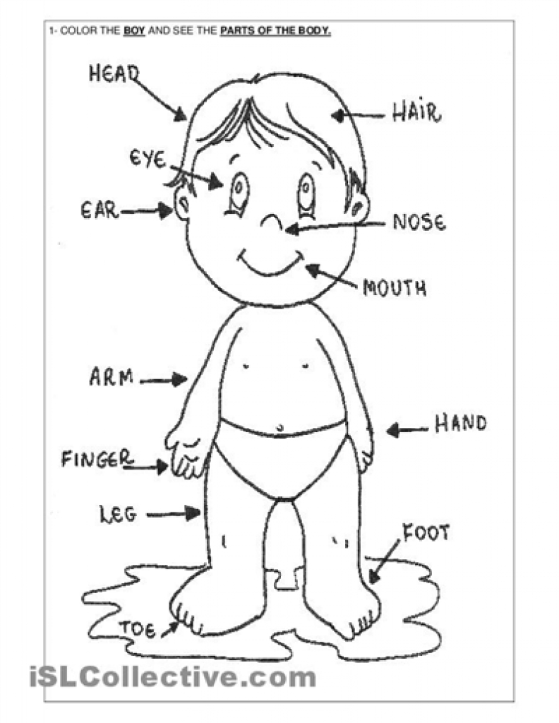Awesome Body Parts Coloring Pages For Preschool Design Free 792x1024 Awesome Body Parts Coloring Pages For Preschool Design Free