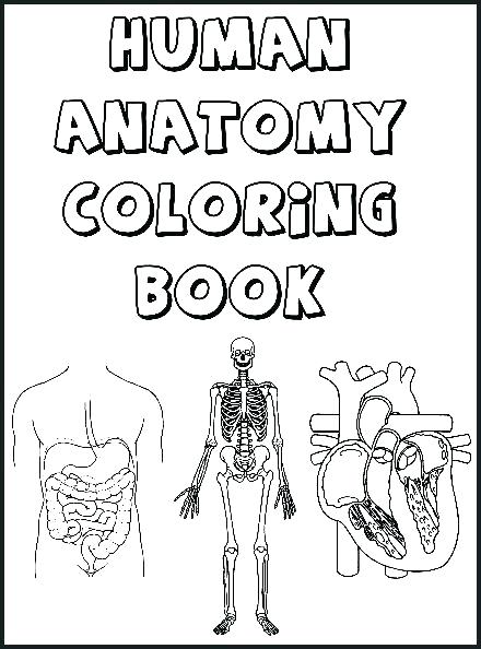 Body Coloring Pages Body Coloring Pages Anatomy Coloring Book 440x594 Body Coloring Pages Body Coloring Pages Anatomy Coloring Book