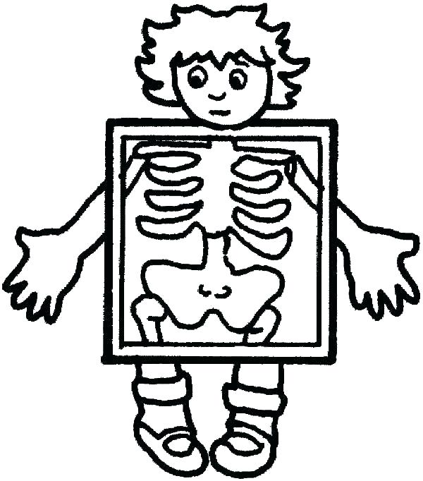 Digestive System Coloring Page Human Body Systems Coloring Pages 600x682 Digestive System Coloring Page Human Body Systems Coloring Pages