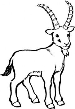 242x350 Billy Goat Gruff Clipart Panda