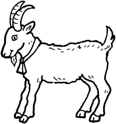 493x525 Boer Goat Coloring Pages Color Bros