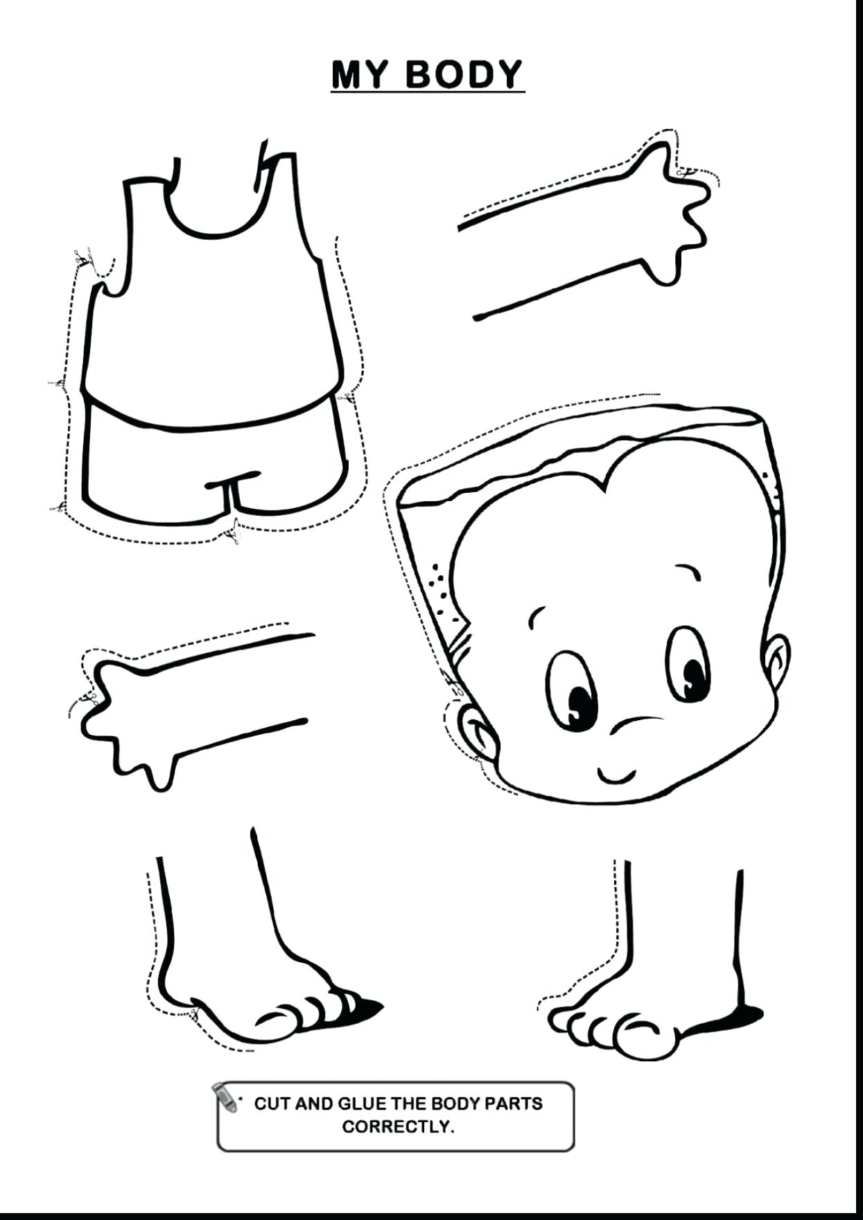 Bones Coloring Pages The Best Human Heart Worksheet Page Printable 1245x1760 Bones Coloring Pages The Best Human Heart Worksheet Page Printable