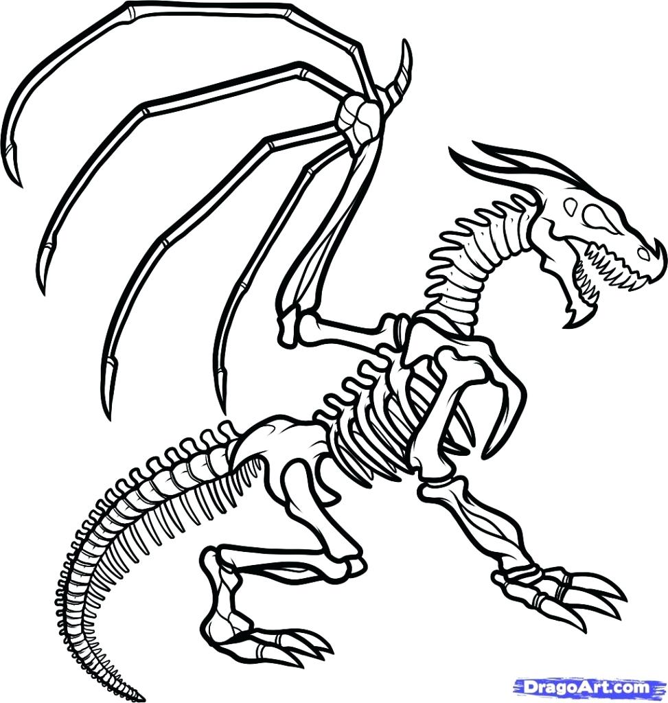 Popular Dinosaur Bones Coloring Pages 1288 973x1024 Popular Dinosaur Bones Coloring Pages 1288