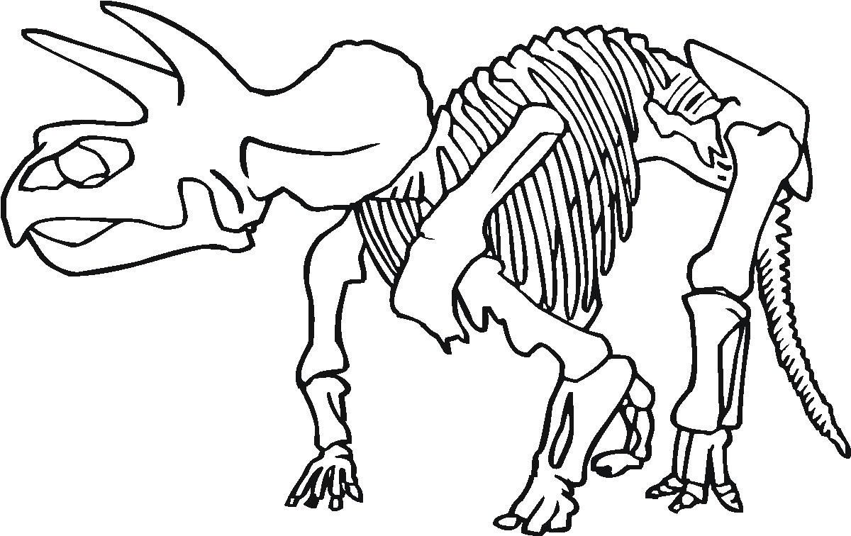 Shocking Printable Dinosaur Bones Coloring For Skeleton Page Pict 1200x756 Shocking Printable Dinosaur Bones Coloring For Skeleton Page Pict