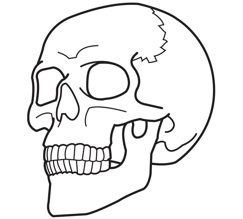 Skull Coloring Pages 778x700 Skull Coloring Pages