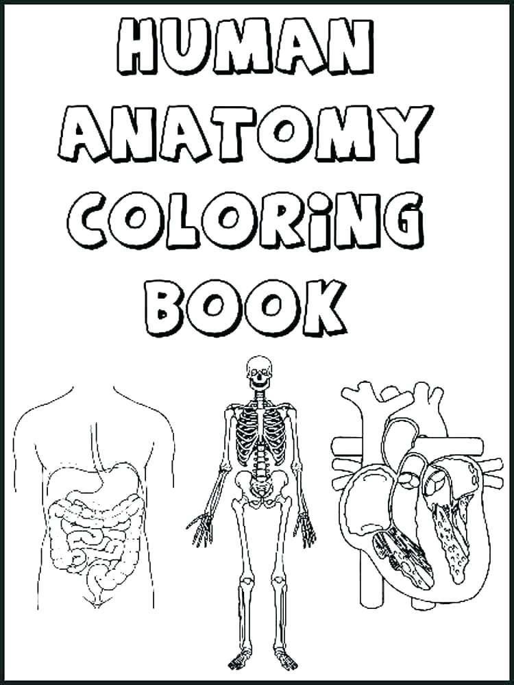 Skull Coloring Pages 2 Skull Bones Anatomy Coloring Pages Anatomy 750x1000 Skull Coloring Pages 2 Skull Bones Anatomy Coloring Pages Anatomy