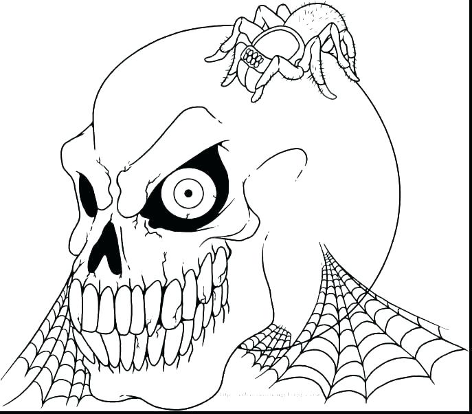 Skull Coloring Pages Anatomy Skull Coloring Pages Anatomy Free 687x602 Skull Coloring Pages Anatomy Skull Coloring Pages Anatomy Free
