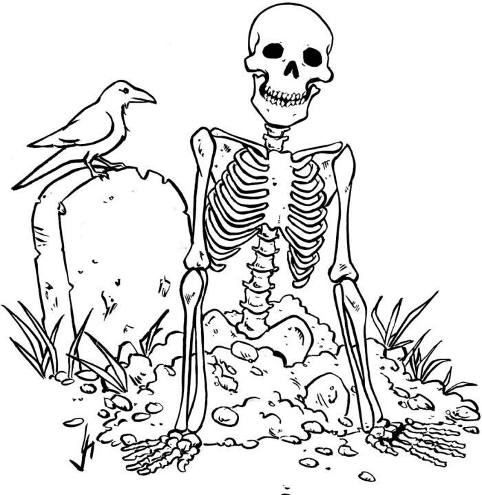 Zombie Skull Coloring Pages Skulls, Bones, Amp Day Of The Dead 700x719 Zombie Skull Coloring Pages Skulls, Bones, Amp Day Of The Dead