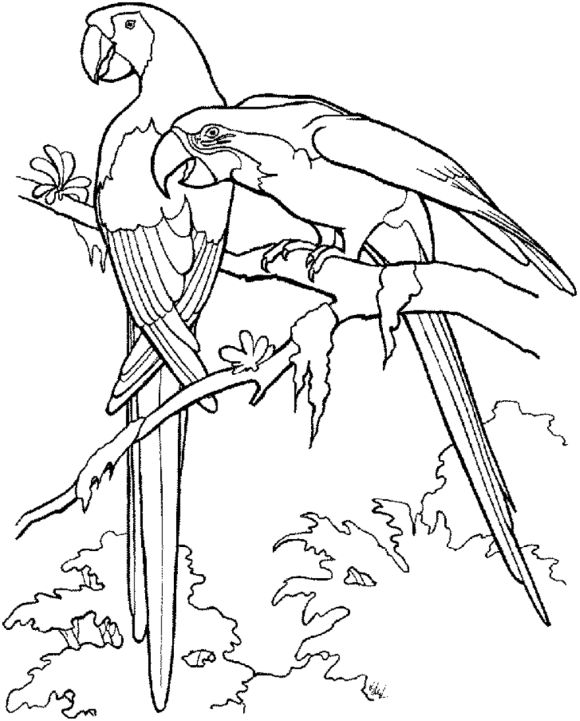 68 Best Coloring Pages Images On Coloring Books 580x721 68 Best Coloring Pages Images On Coloring Books