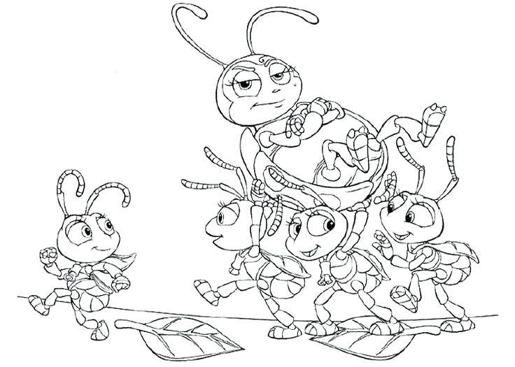 Coloring Bugs Little Bugs Life Coloring Page Ladybug Coloring 736x525 Coloring Bugs Little Bugs Life Coloring Page Ladybug Coloring