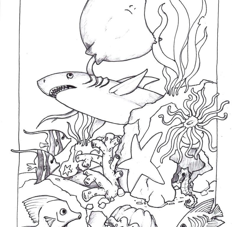 Ocean Life Coloring Pages Printable Amazing Ocean Habitat Coloring 785x768 Ocean Life Coloring Pages Printable Amazing Ocean Habitat Coloring