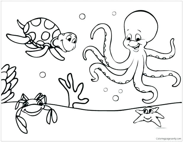 Marine Coloring Page 618x481 Marine Coloring Page