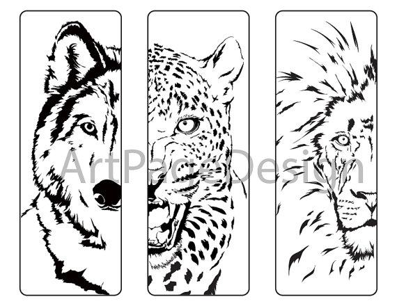 Pages Animals. Wolf Cheetah Lion. Coloring Pages 570x440 Pages Animals. Wolf Cheetah Lion. Coloring Pages