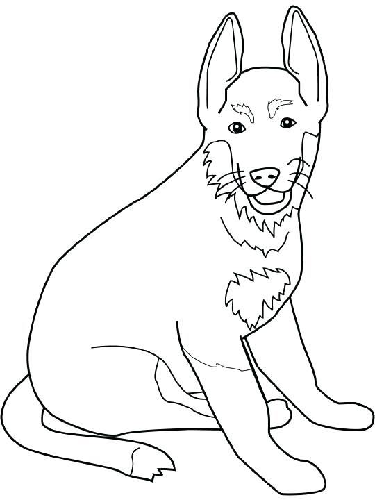 Coloring Pages Of Dogs Border Collie Coloring Pages Dog Color 540x720 Coloring Pages Of Dogs Border Collie Coloring Pages Dog Color