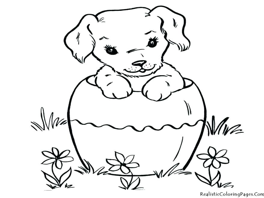 Dogs Coloring Pages Border Collie Coloring Pages Amazing Realistic 878x659 Dogs Coloring Pages Border Collie Coloring Pages Amazing Realistic