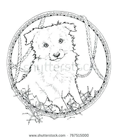 Border Collie Coloring Pages Border Collie Coloring Pages Rough 400x470 Border Collie Coloring Pages Border Collie Coloring Pages Rough