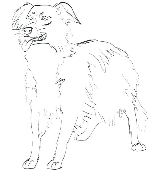 Border Collie Coloring Pages Collie Coloring Pages Giraffe 560x600 Border Collie Coloring Pages Collie Coloring Pages Giraffe
